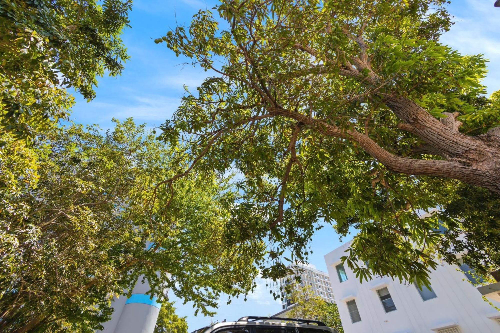 Hidden Gem In Miramar- Power Generator- Parking Διαμέρισμα Σαν Χουάν Εξωτερικό φωτογραφία